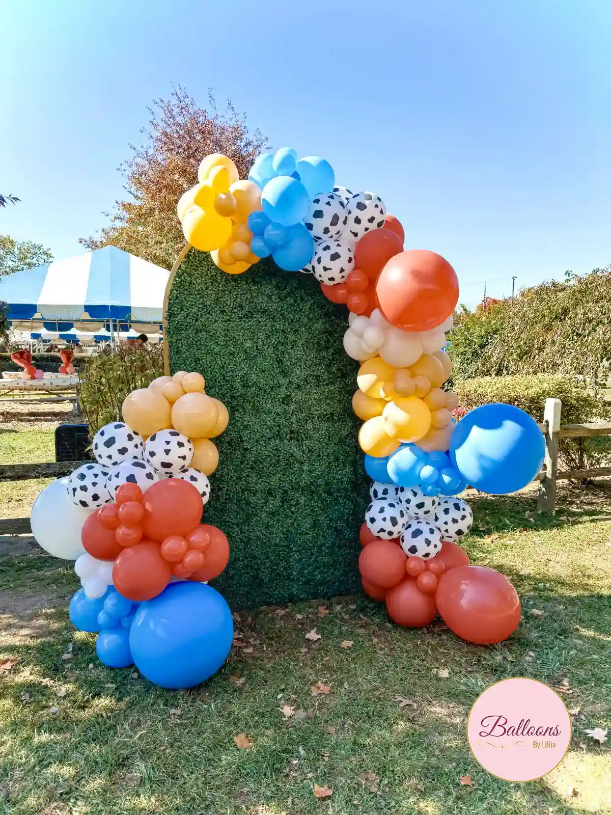 balloon backdrop with happy birthday sign for party